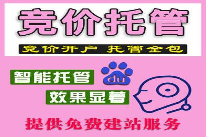 成功案例：sem竞价托管如何实现转化率翻倍